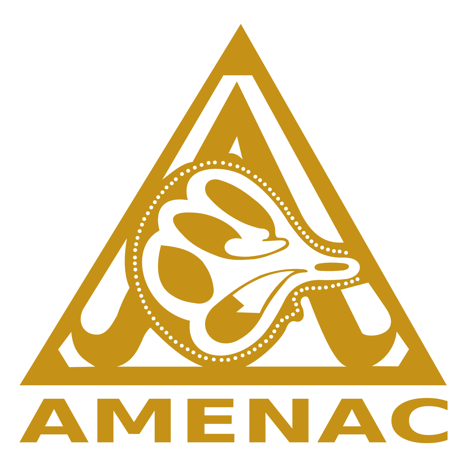 Asociación Mexicana de Enfermeras en Nefrología (AMENAC)